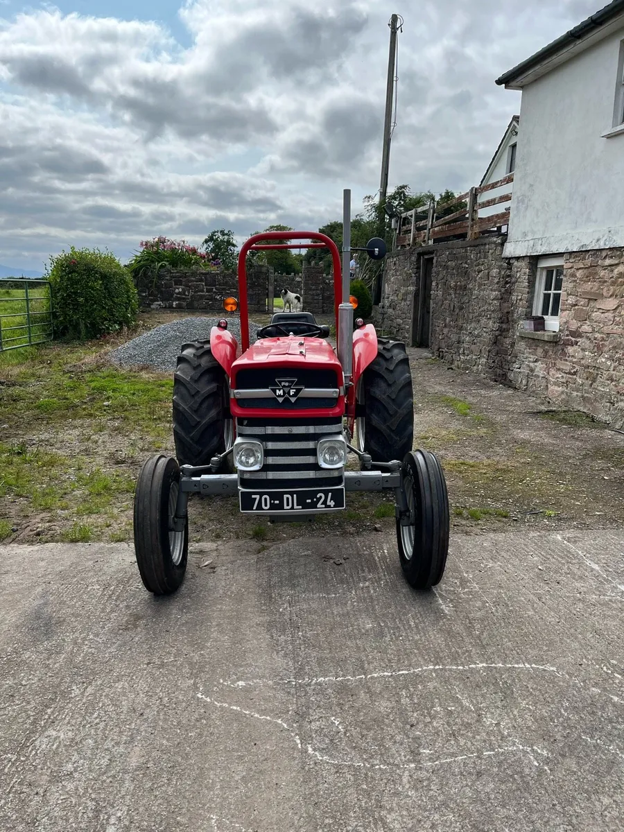 Massey Ferguson 135 - Image 2