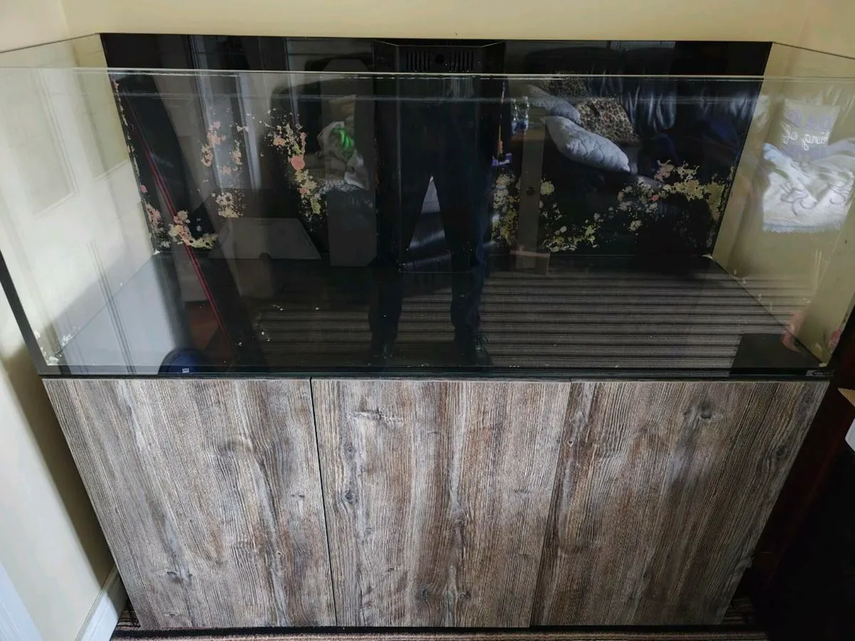 Bargain Bundle Fish Tank - Image 1