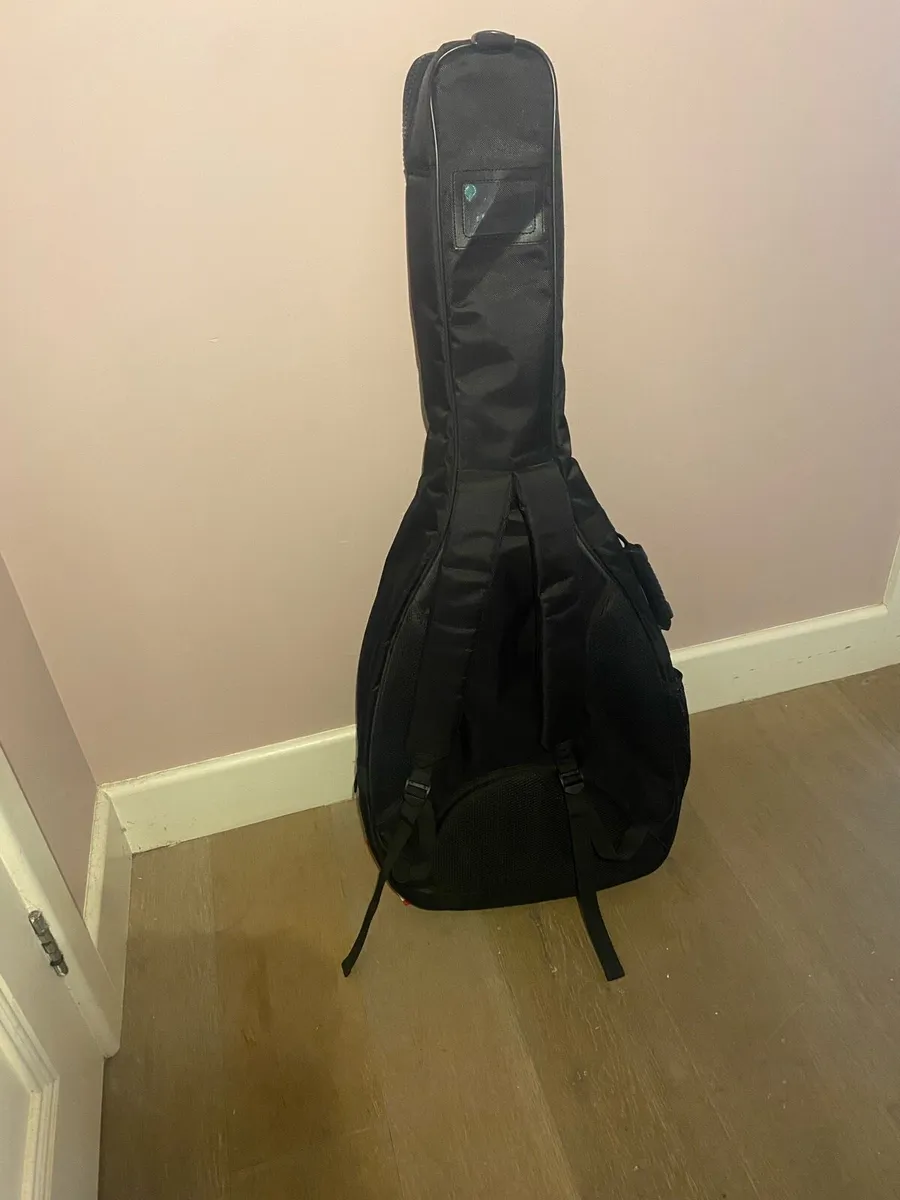 Guitar case - Image 2