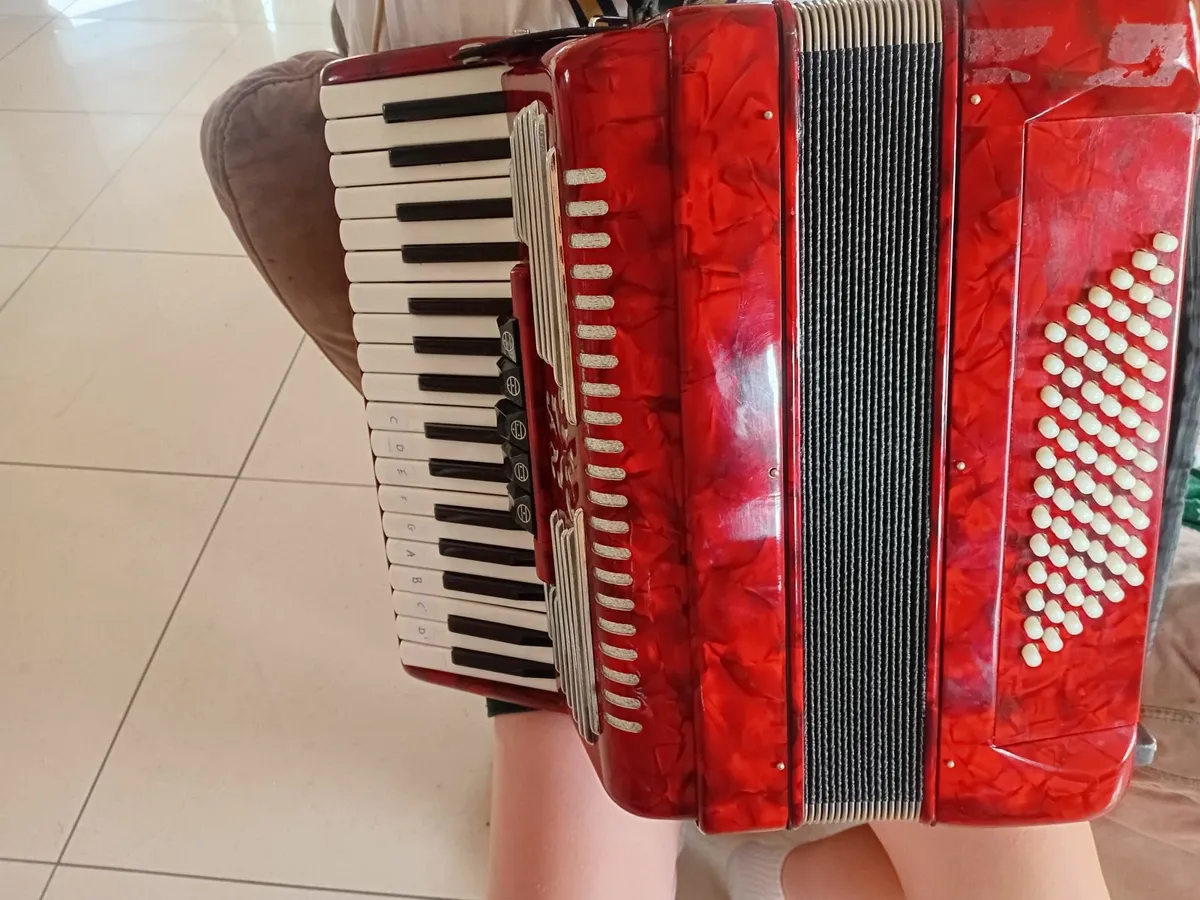 Piano Accordian - Image 3