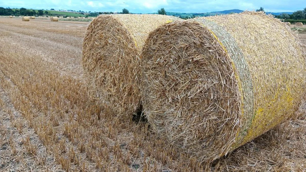 Straw bales - Image 1