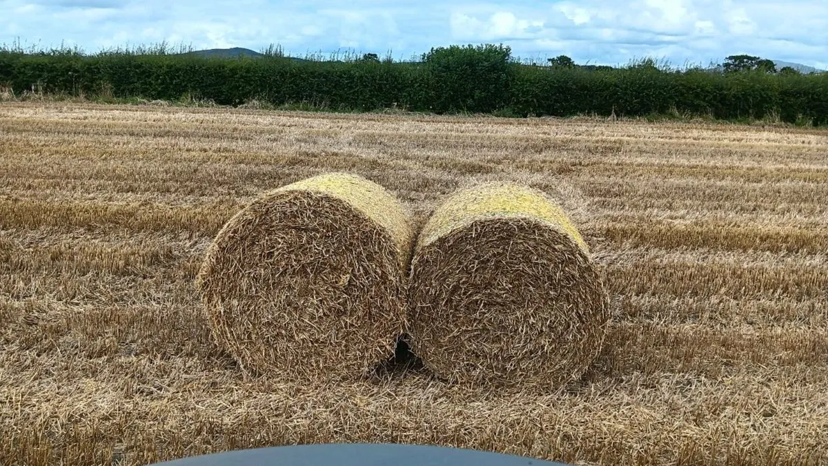 Straw bales - Image 3