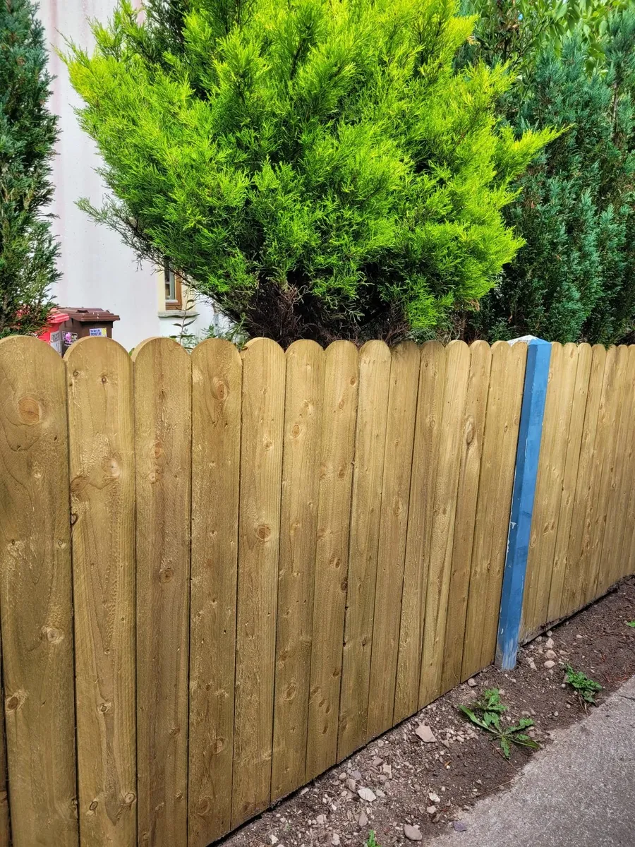 Timber panels - Image 2