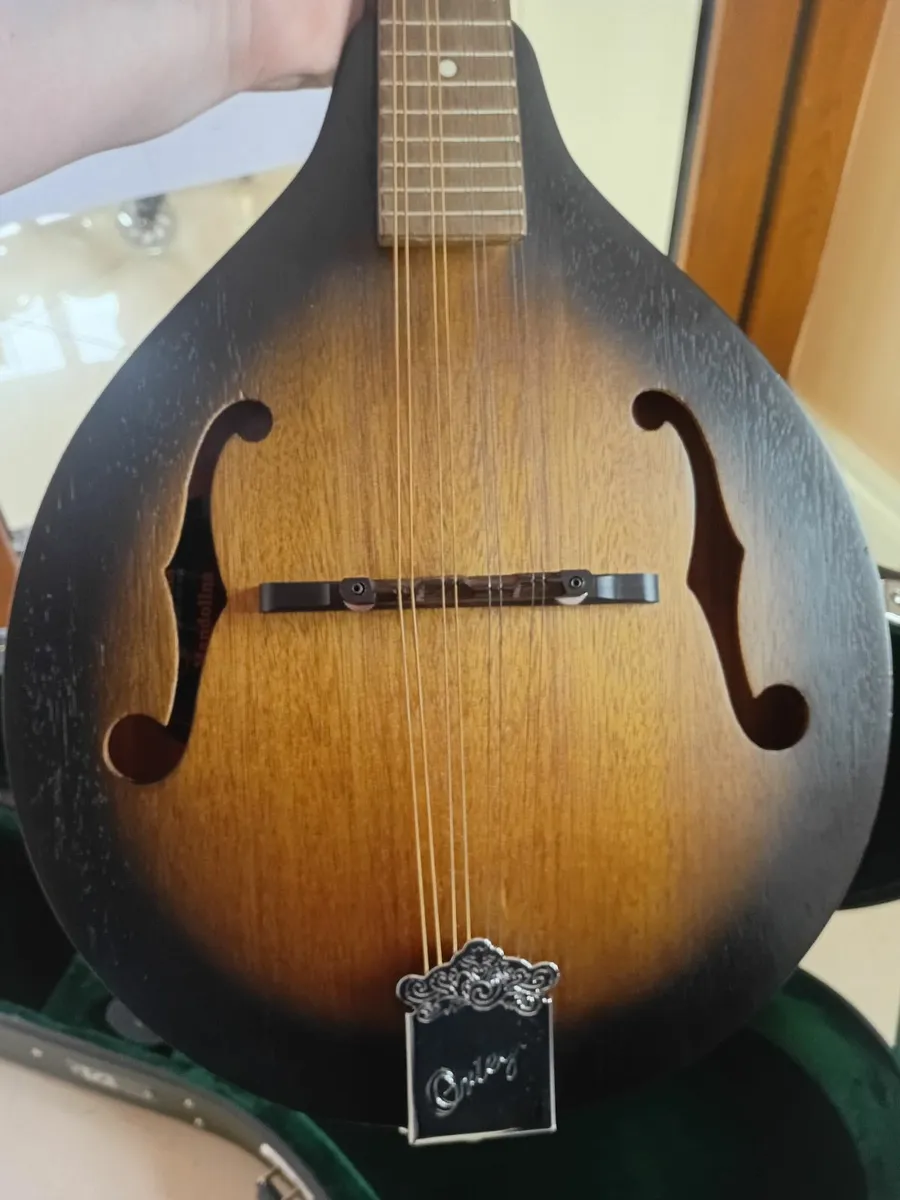 Mandolin - Image 2
