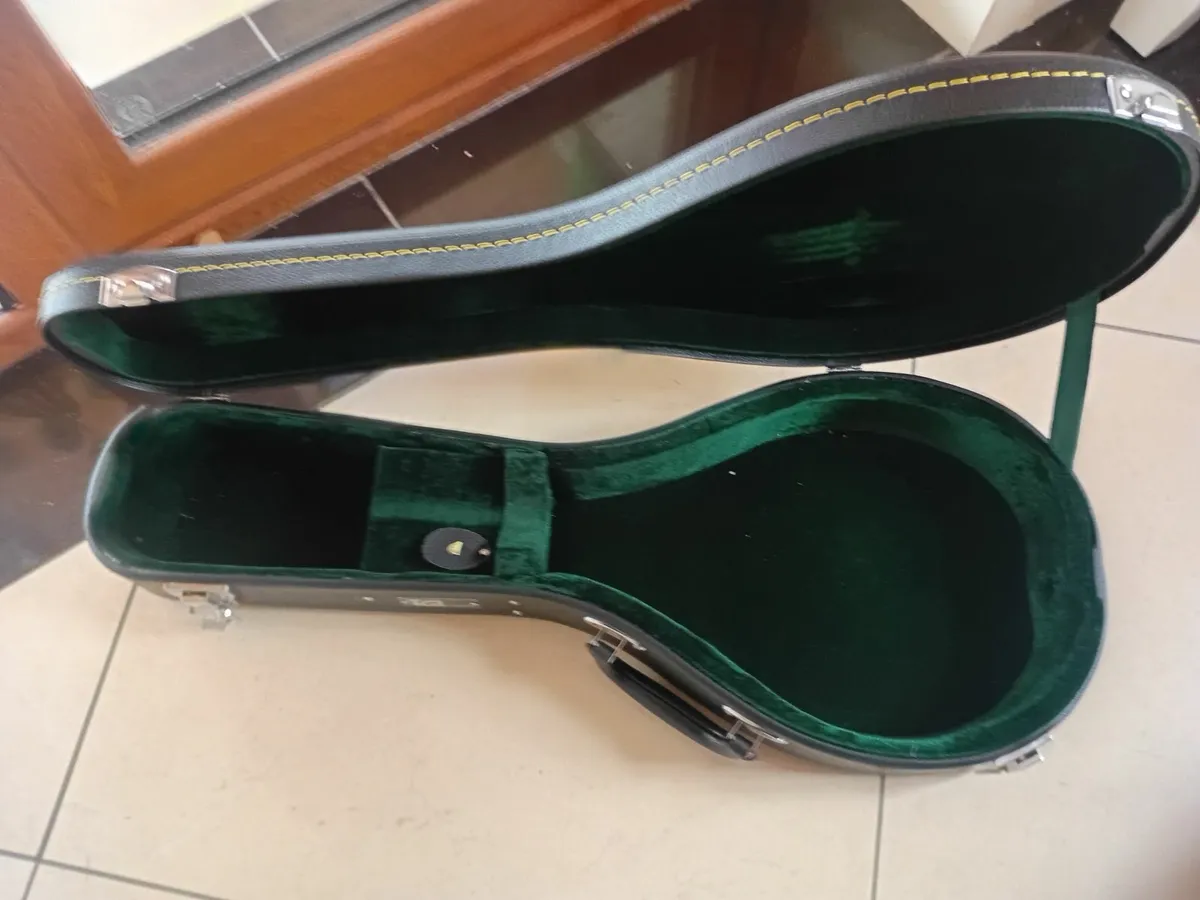 Mandolin - Image 3