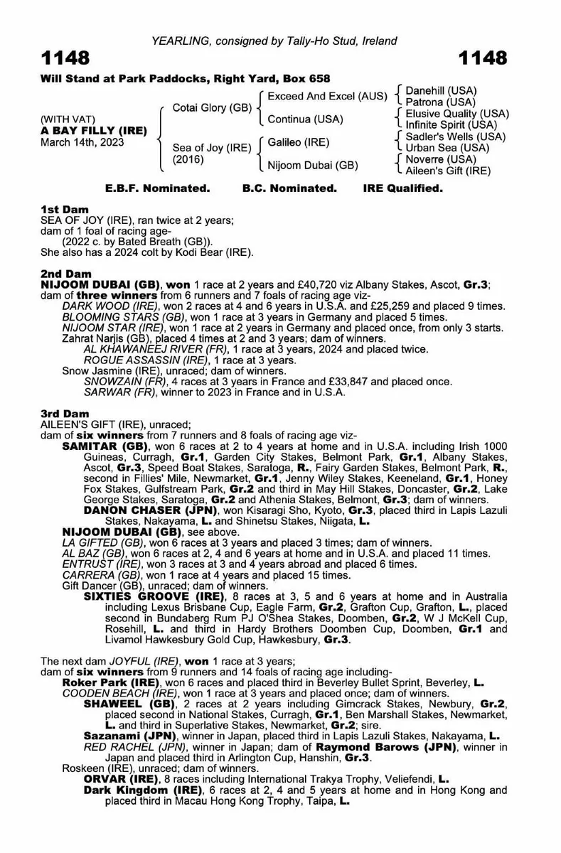 2yo thoroughbred filly by Cotai flory - Image 3