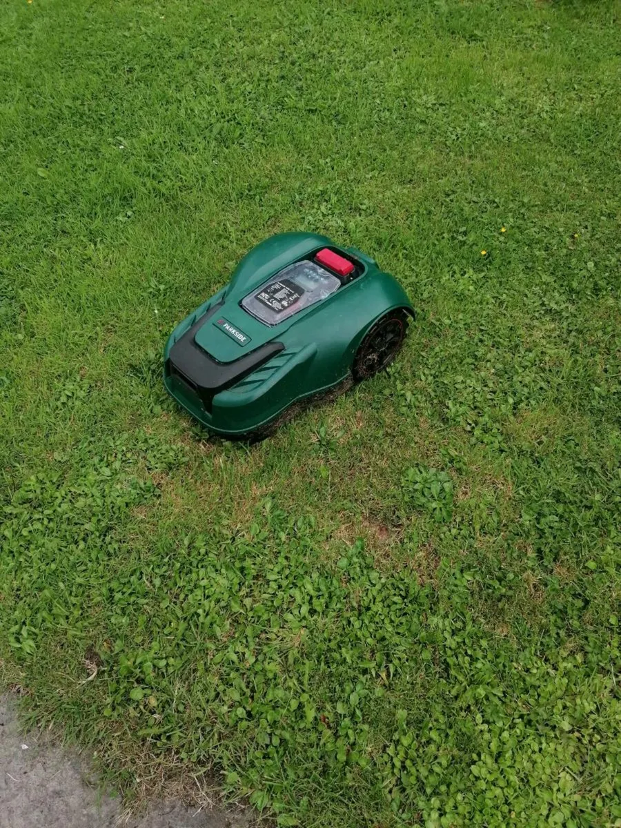 Garden mower - Image 1