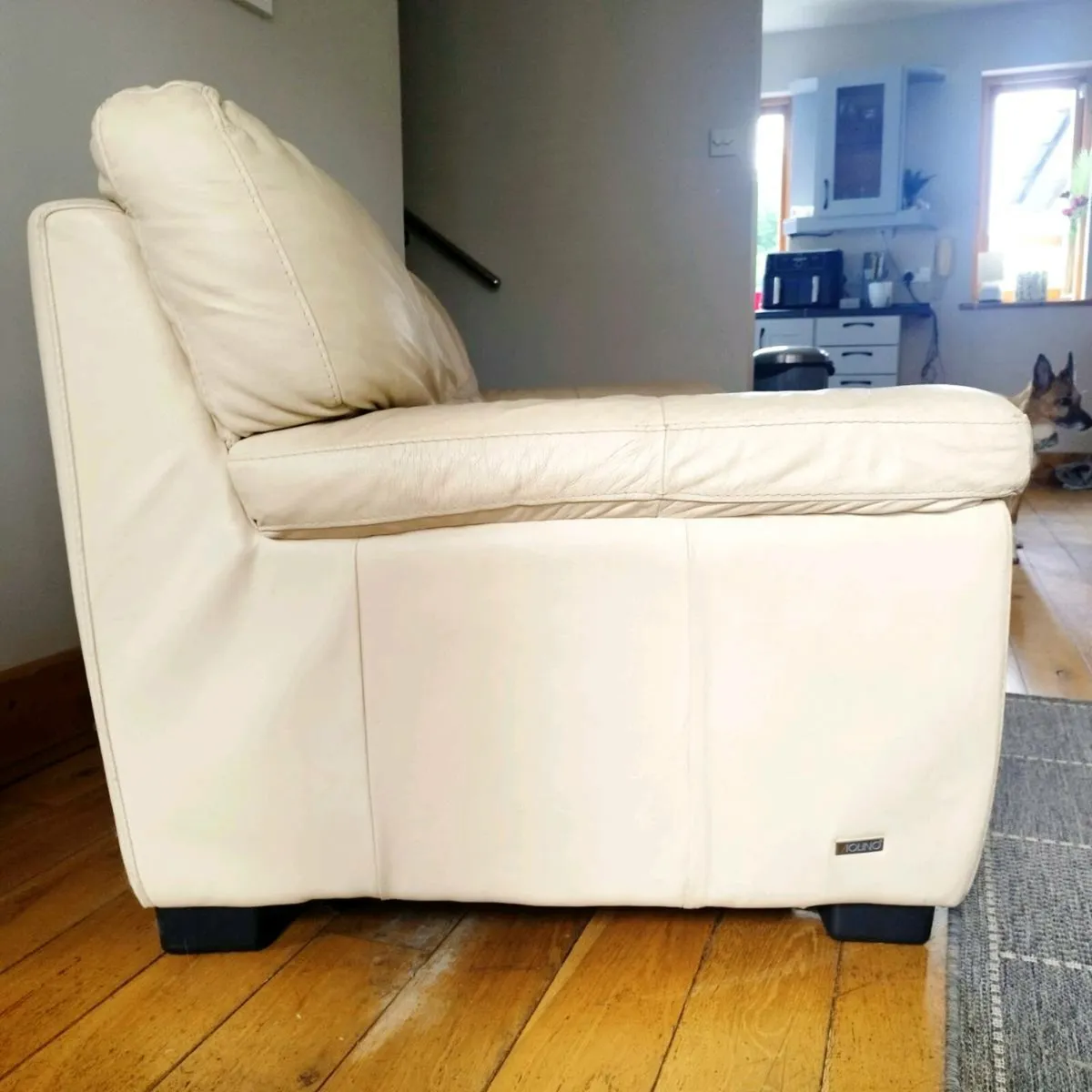 Leather two seat sofa (Violino love seat) - Image 2