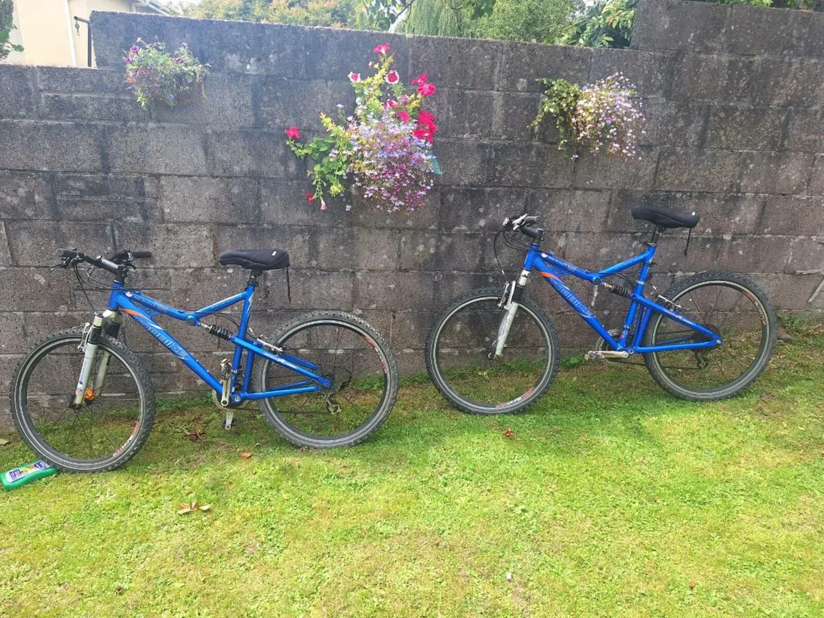 Two Mountain Bikes