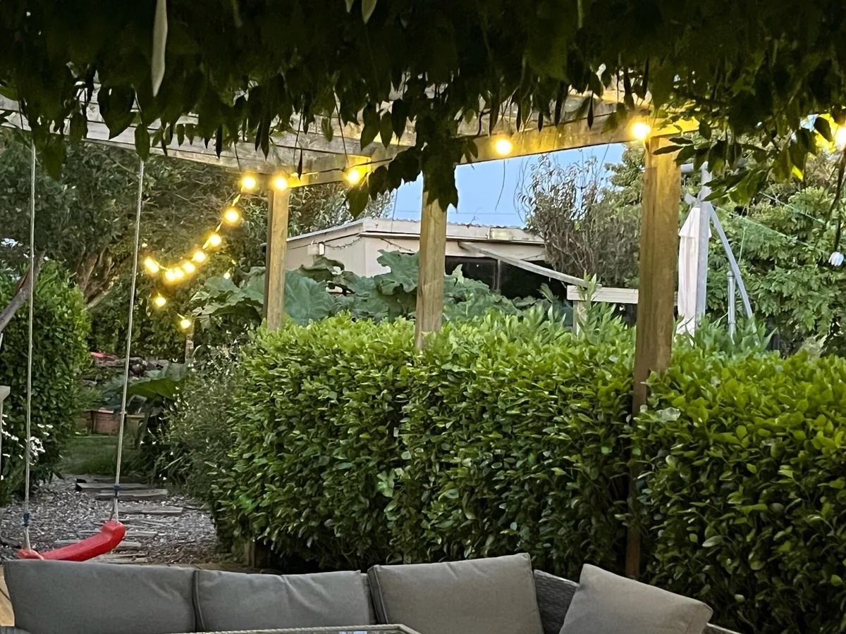 Festoon festival party lights - Image 1
