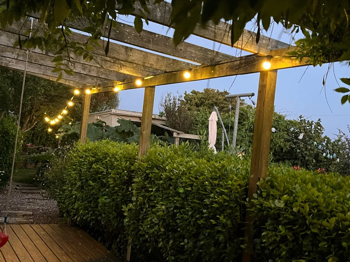 Festoon festival party lights - Image 4