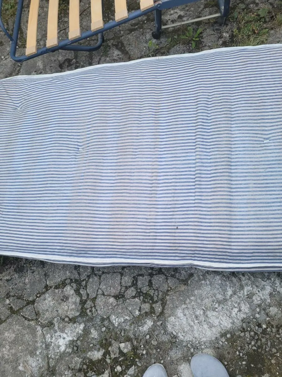 Single fold out bed - Image 2