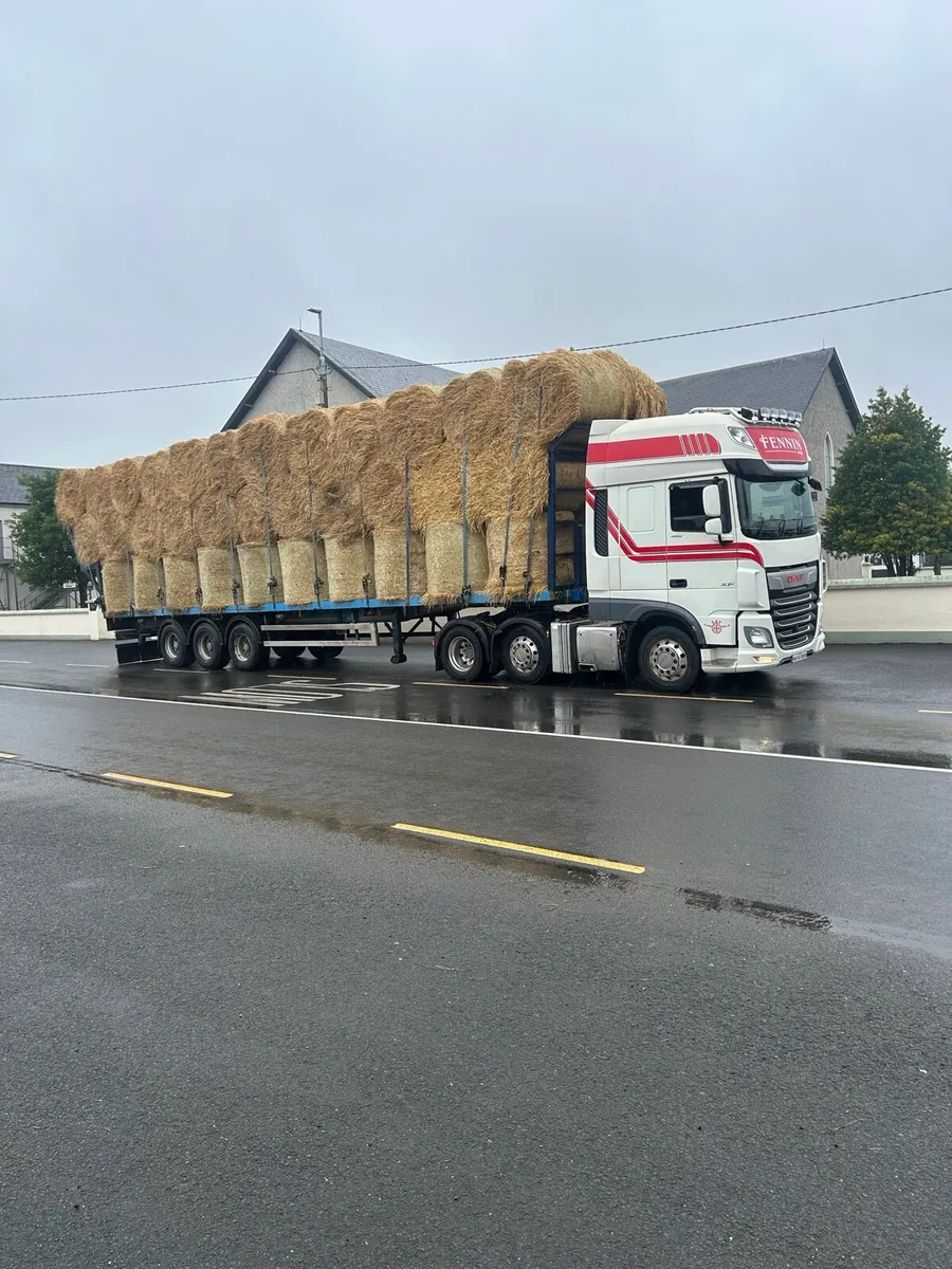 Hay and straw - Image 2