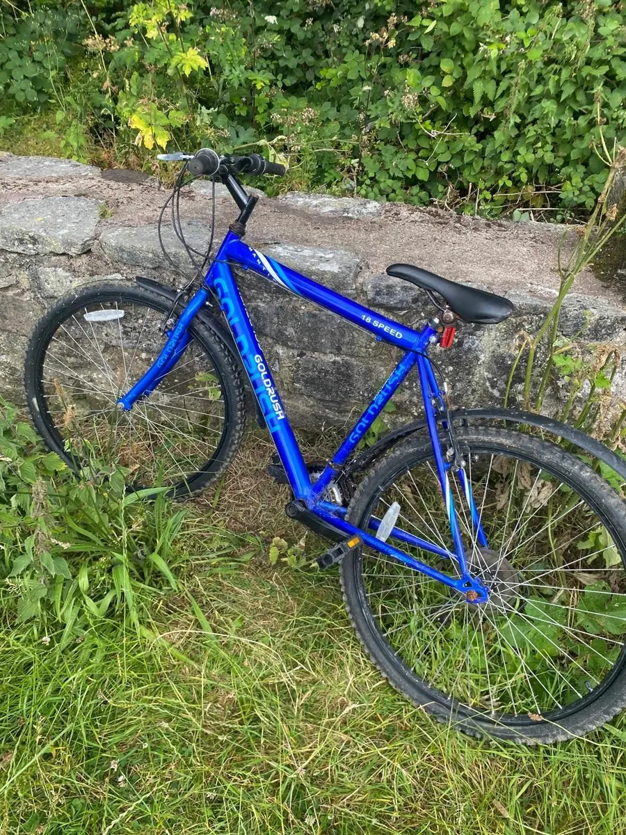 Blue GoldRush Bike - Image 1