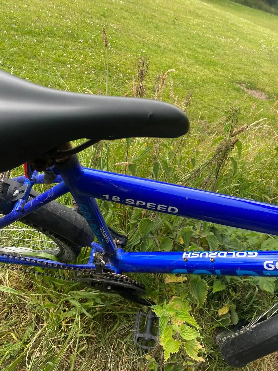 Blue GoldRush Bike - Image 2