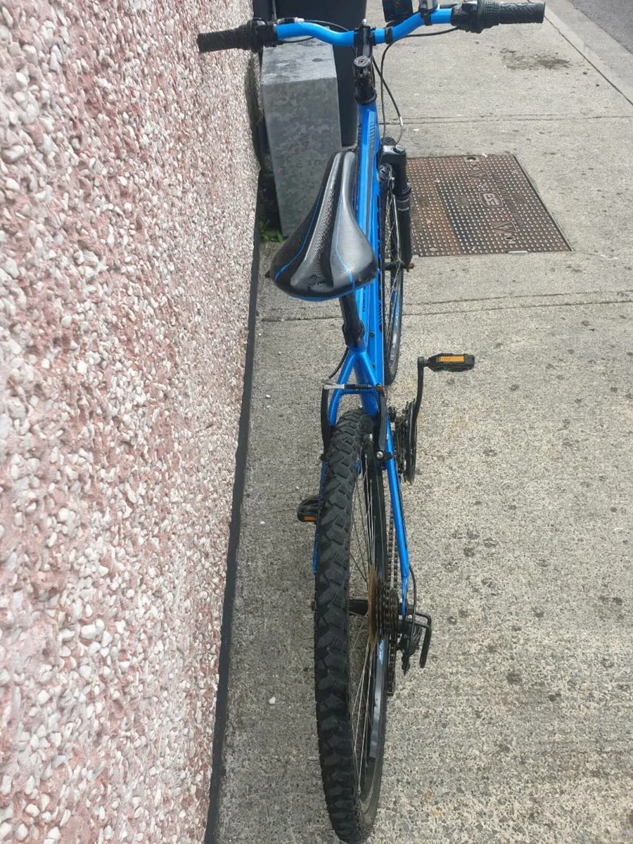 ADULTS BIKE - Image 2
