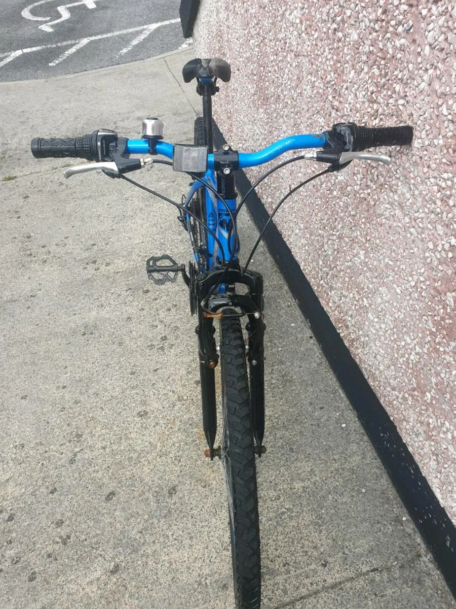 ADULTS BIKE - Image 3