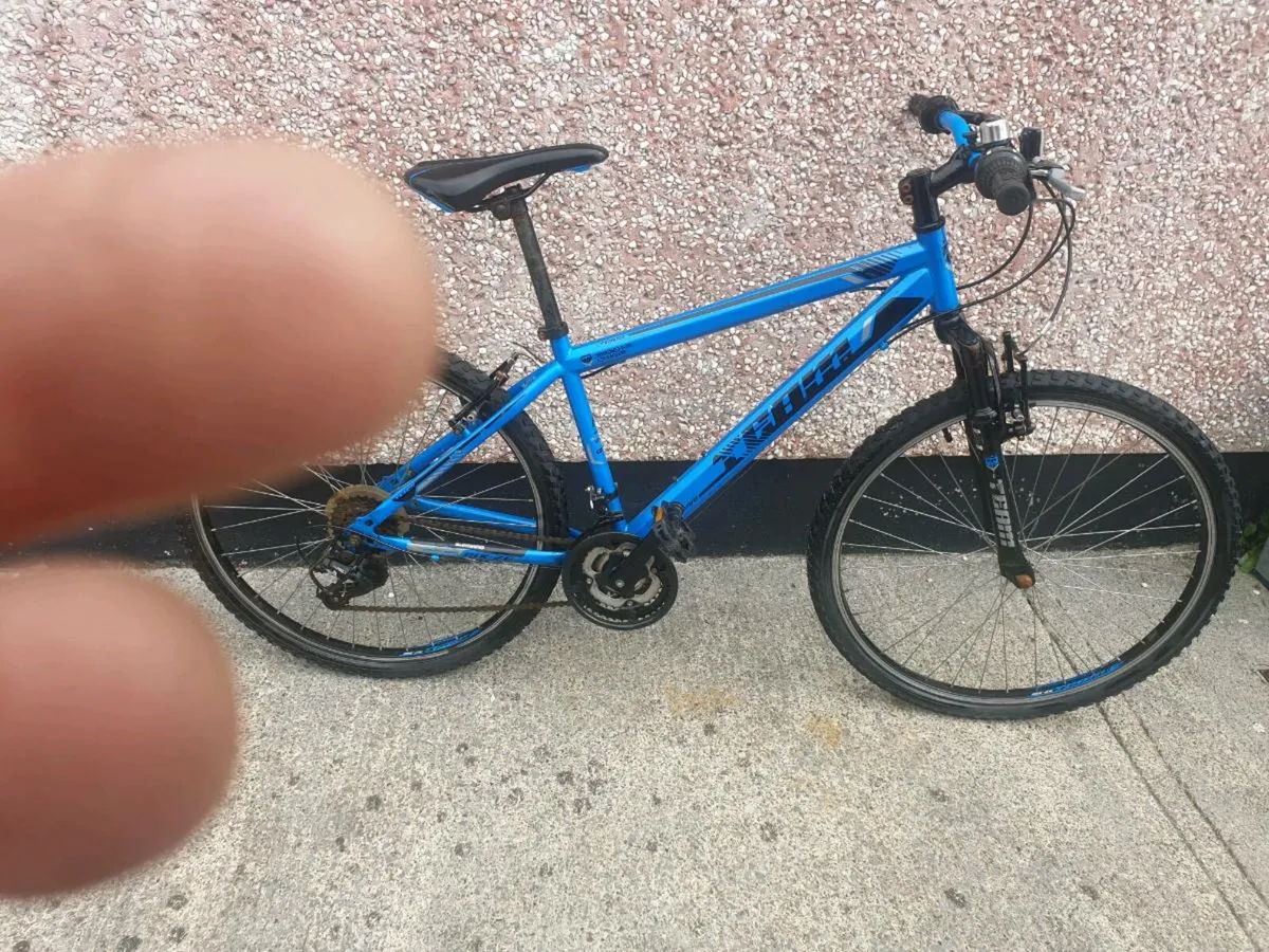 ADULTS BIKE - Image 4