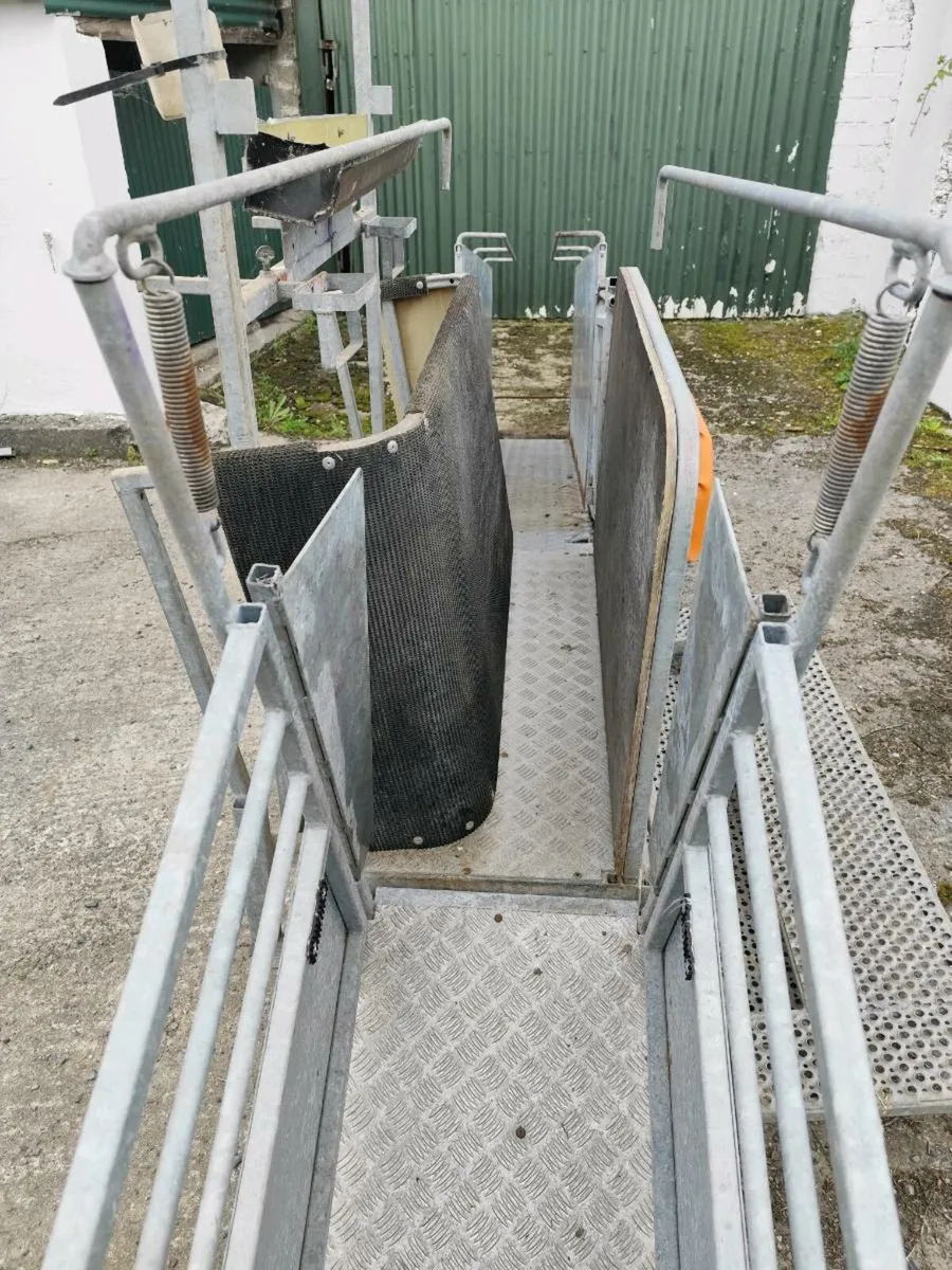 Richie Combi Clamp Sheep Handling Unit - Image 2