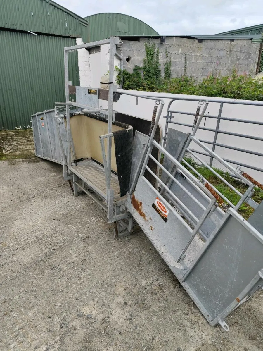 Richie Combi Clamp Sheep Handling Unit - Image 3
