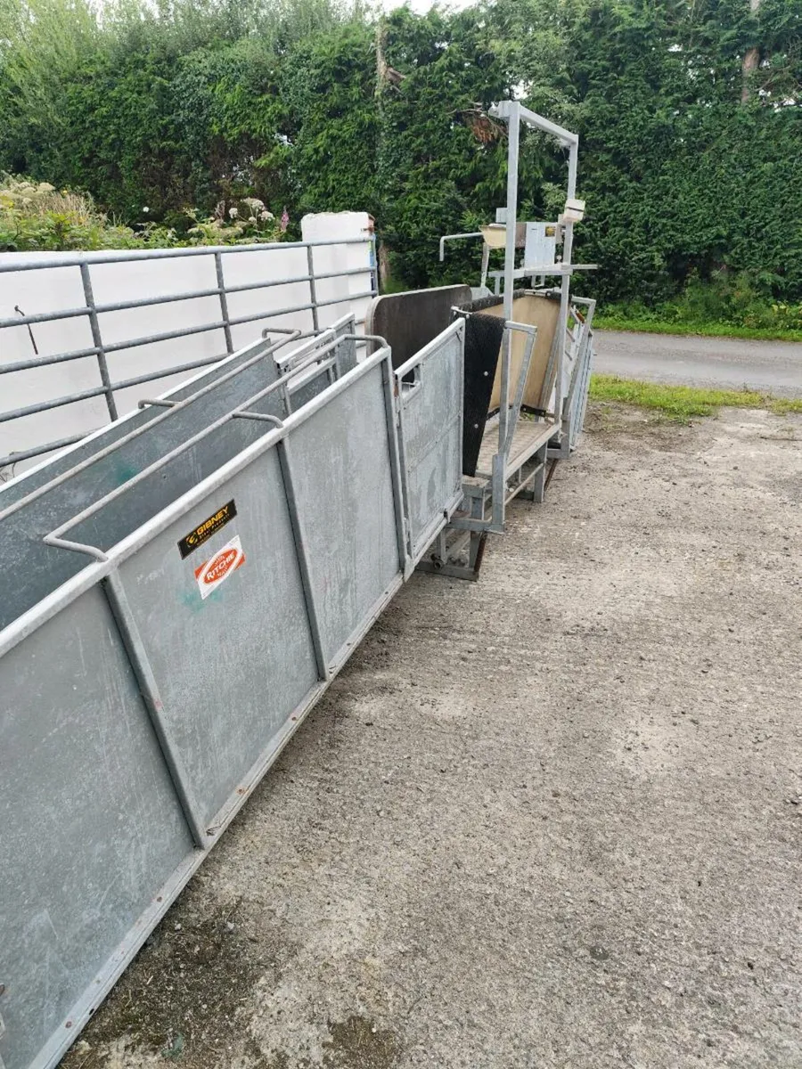 Richie Combi Clamp Sheep Handling Unit - Image 4