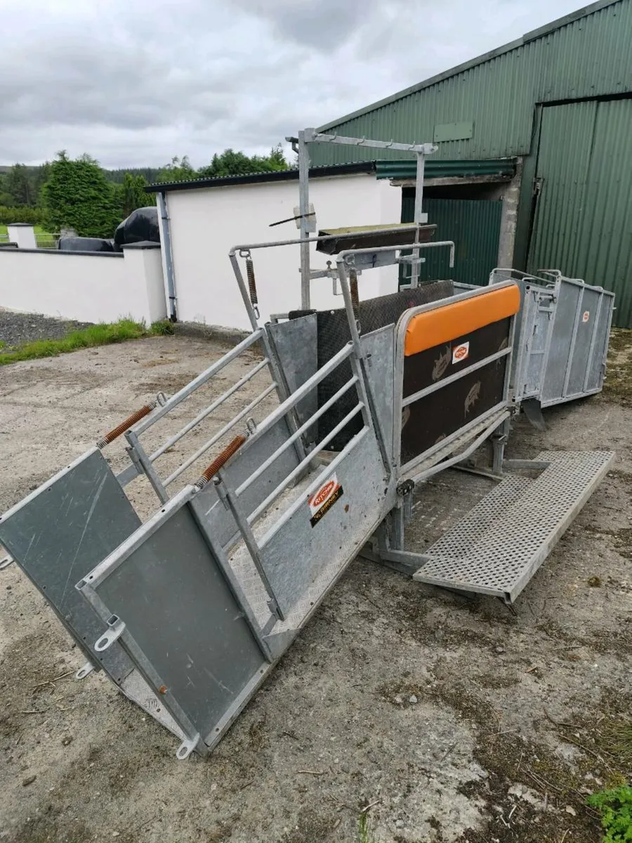 Richie Combi Clamp Sheep Handling Unit - Image 1