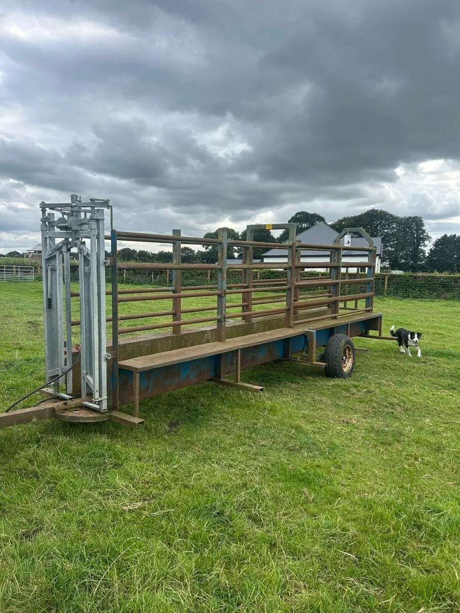 Mobile Cattle Crush - Image 1