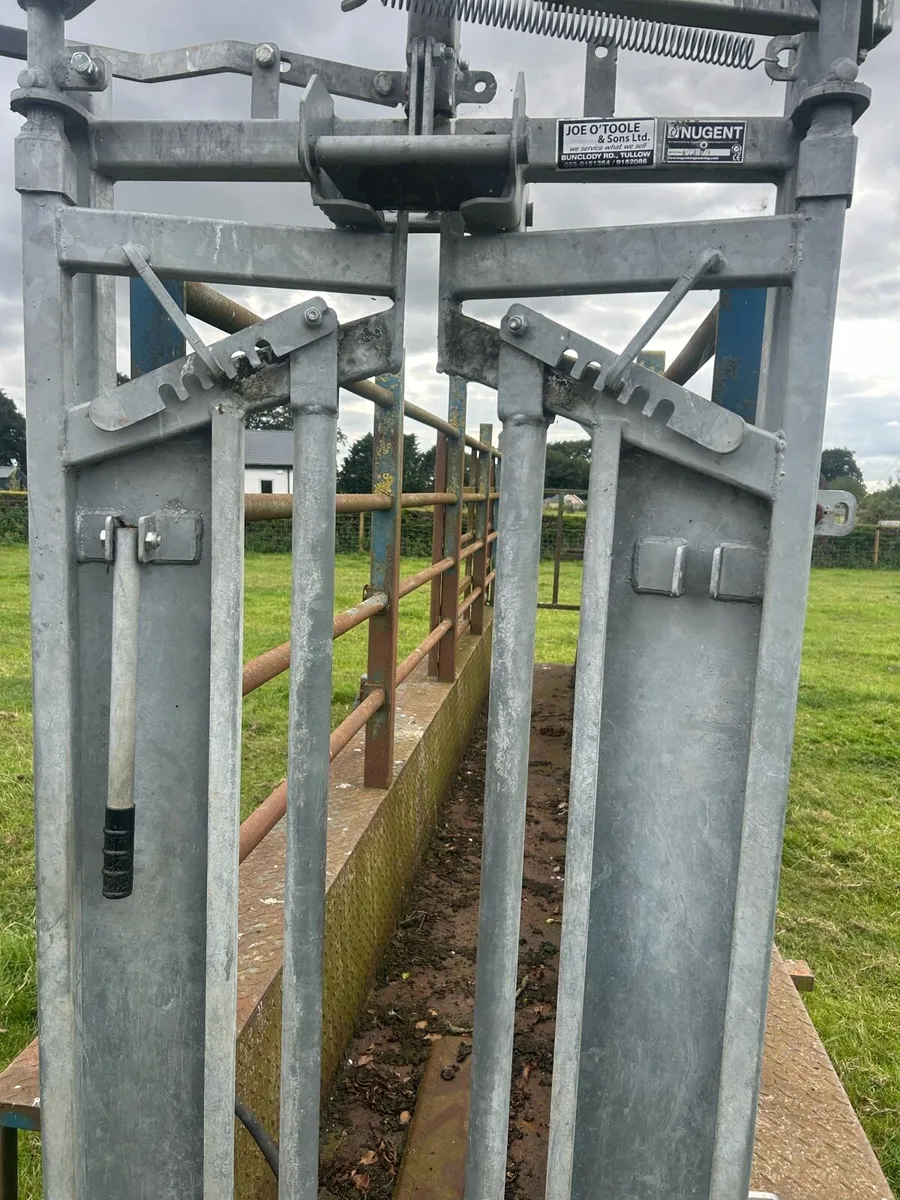 Mobile Cattle Crush - Image 2