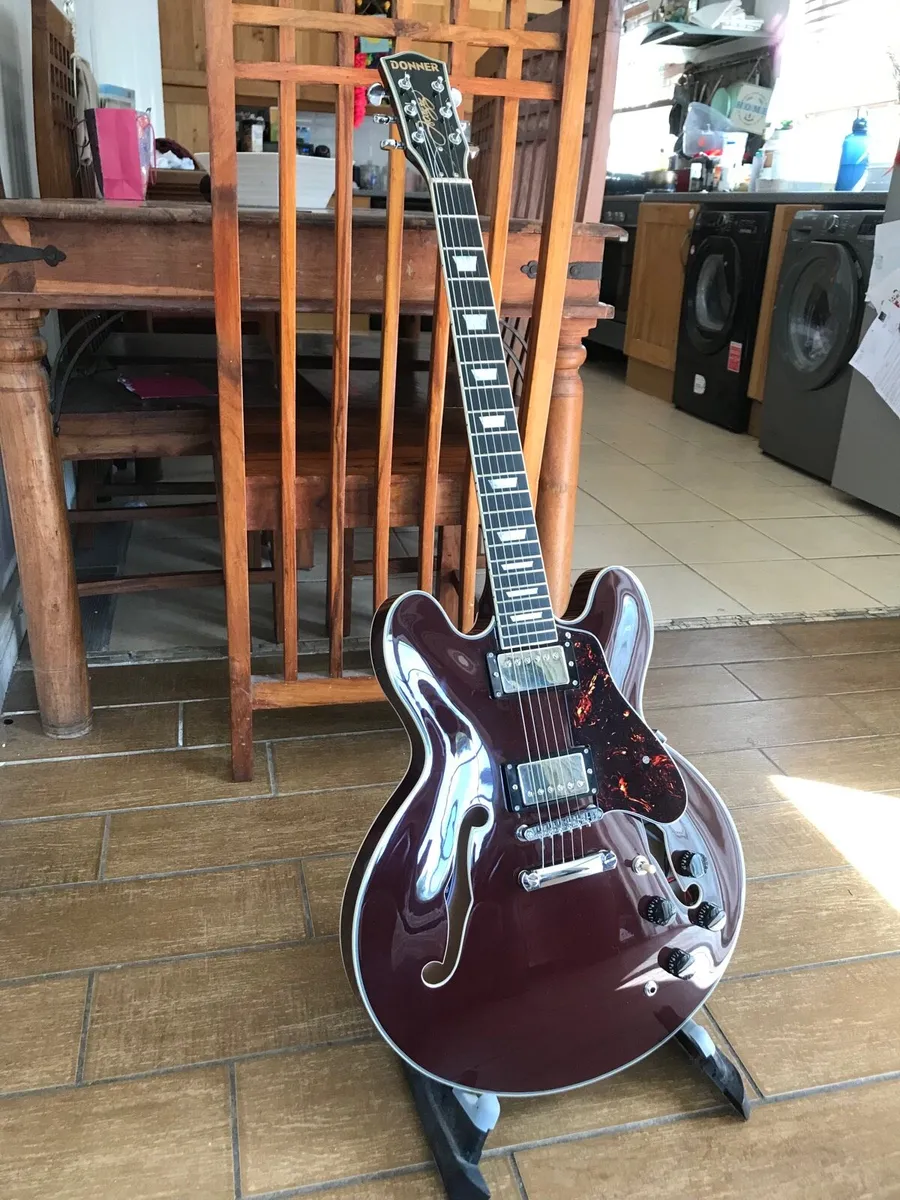 335 style semi hollow guitar - Image 1