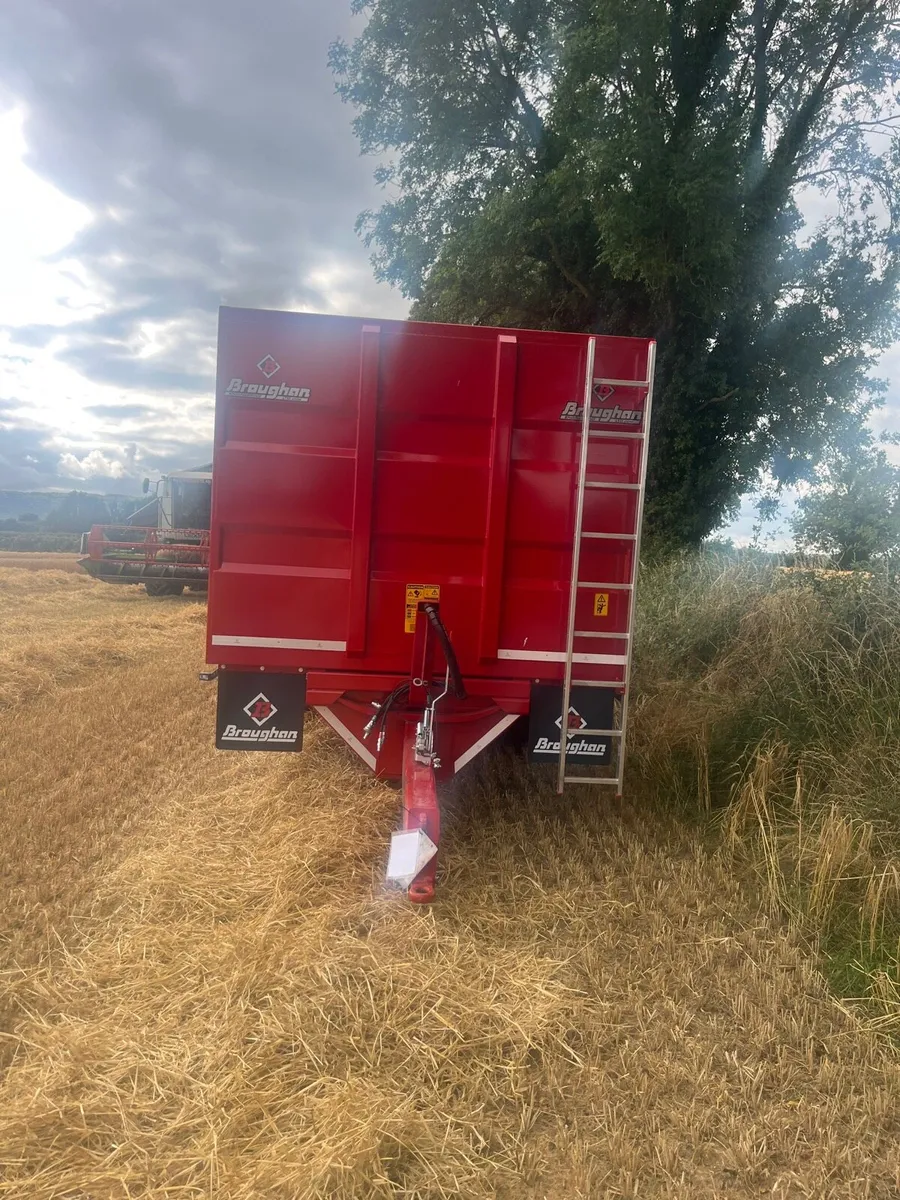 Broughan 20ft grain trailer ( in stock ) - Image 4