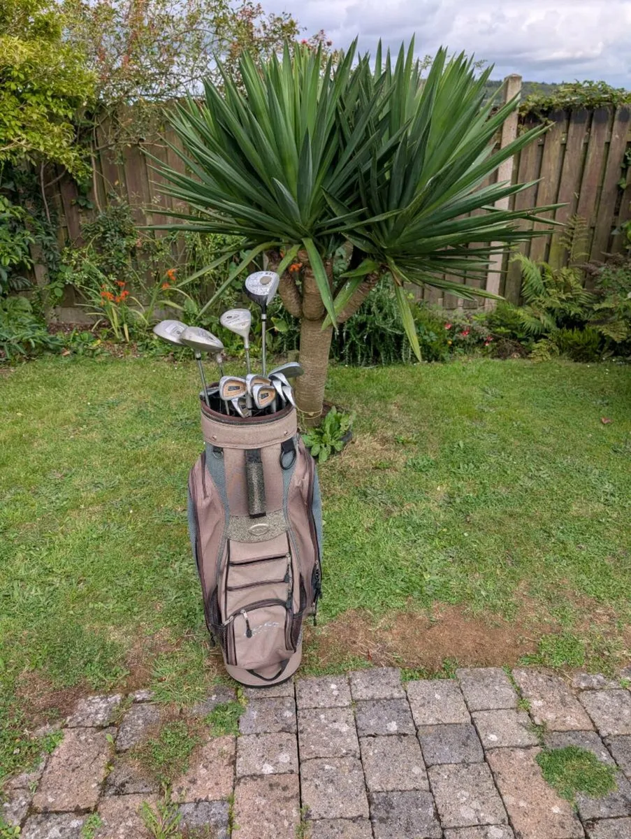 Cheap adult Colt Golf clubs & Colt bag - Image 1