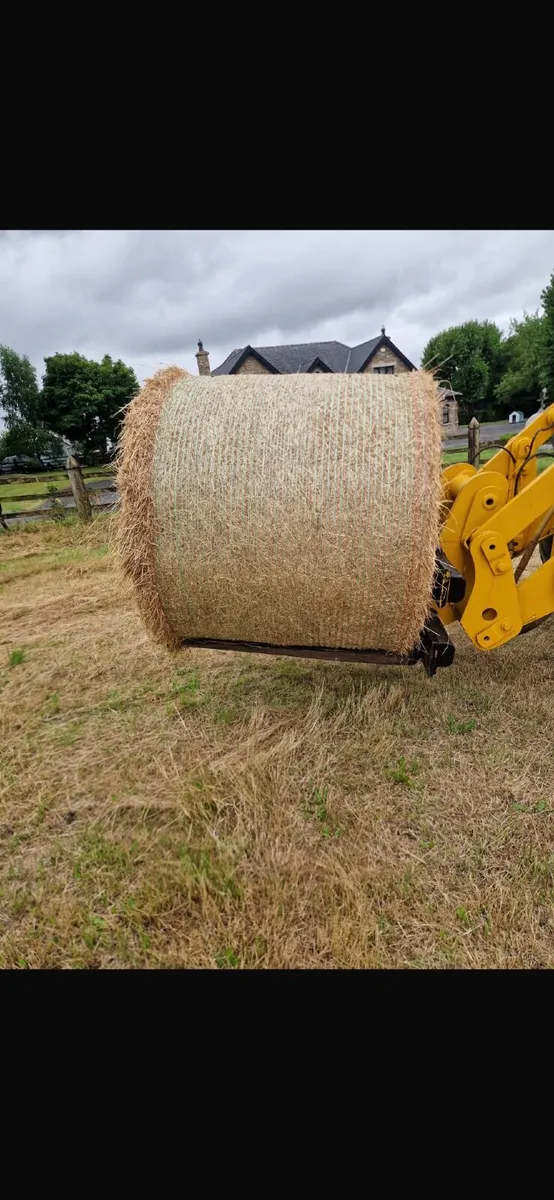 Hay - Image 1