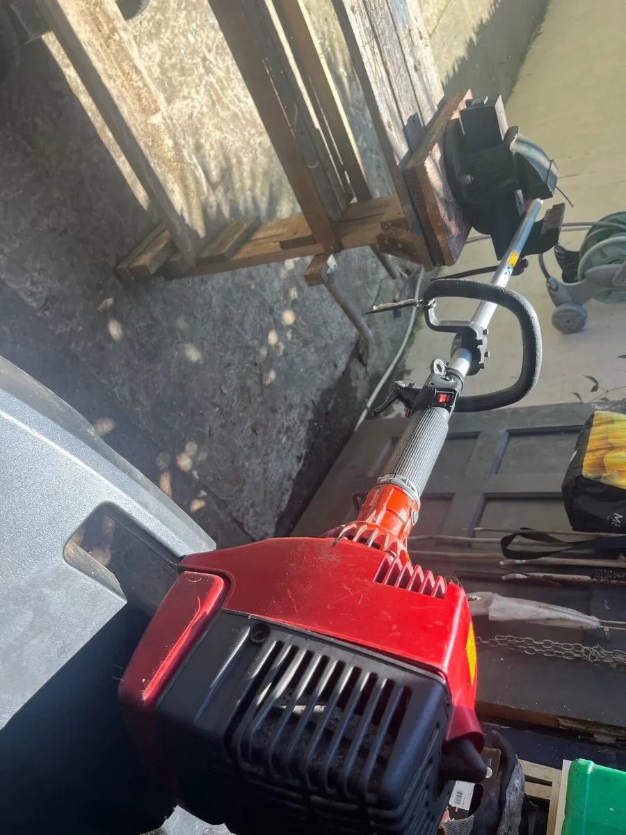Strimmers - Image 2