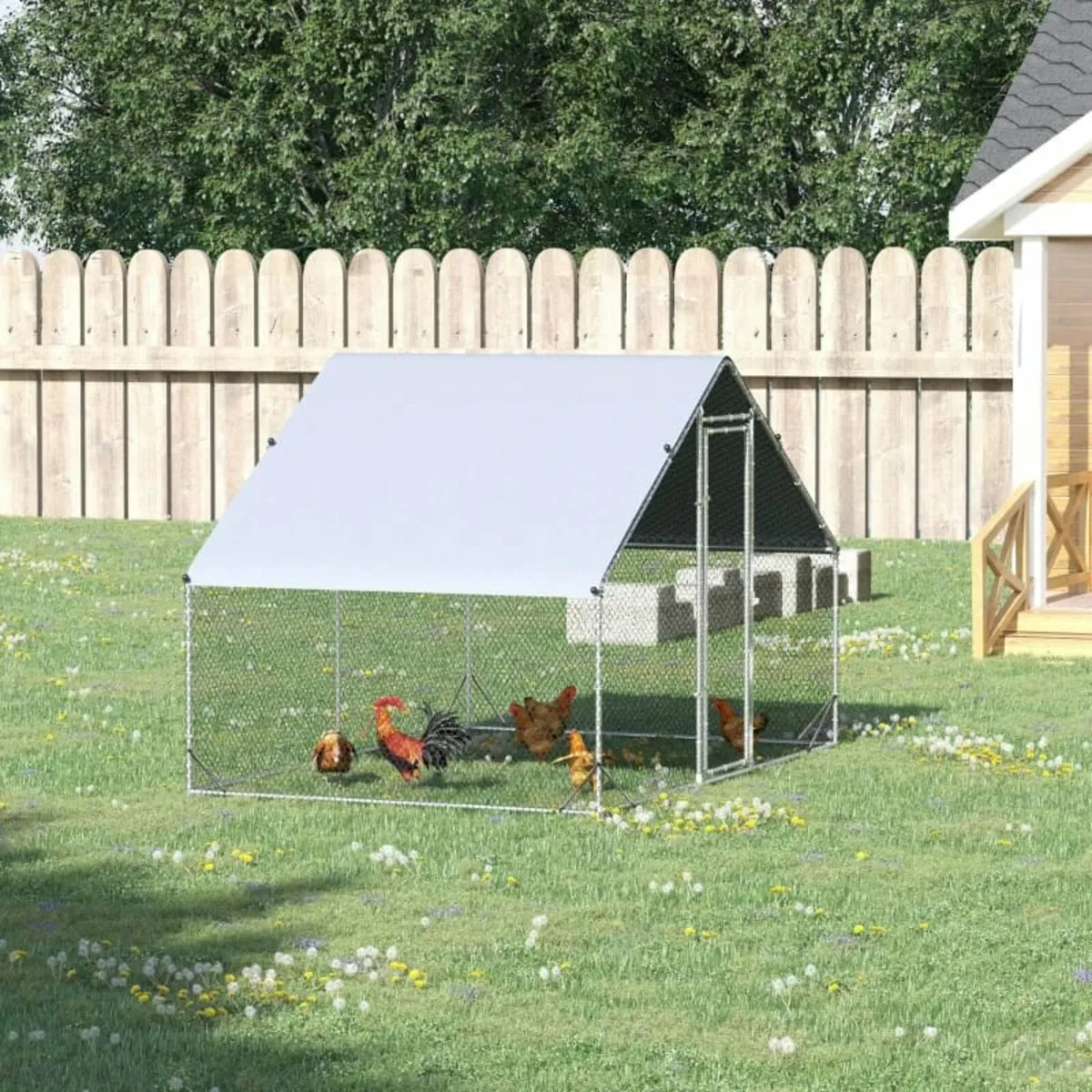 Walk In Chicken Run Galvanized Chicken Coop Hen Po - Image 3