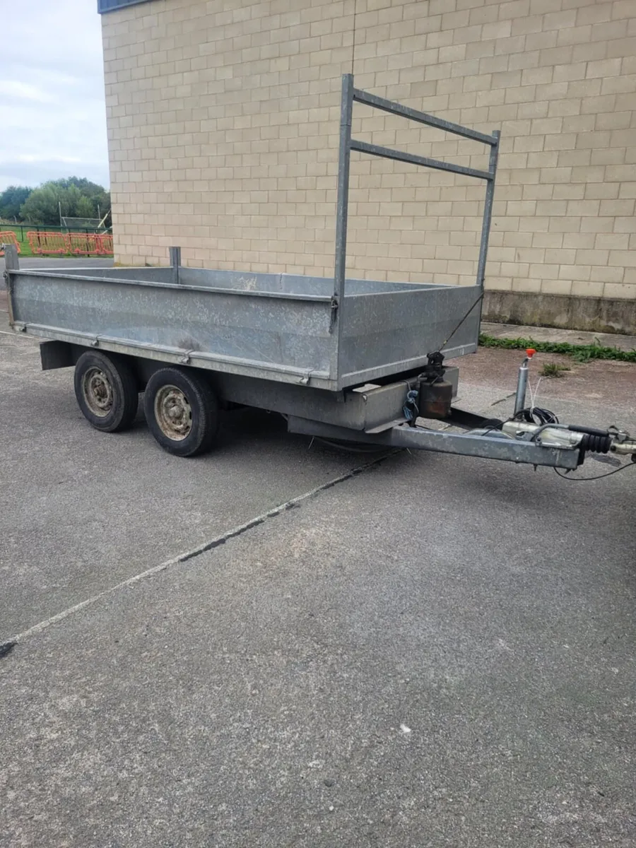 10x5'6 tipper trailer factory made - Image 3