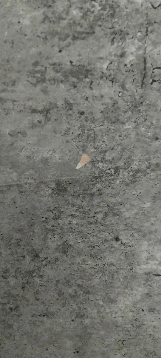 Kitchen table - Image 2