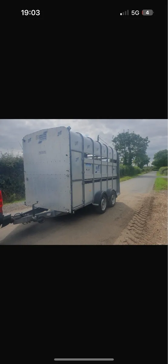 Iforwilliams cattle trailer - Image 1