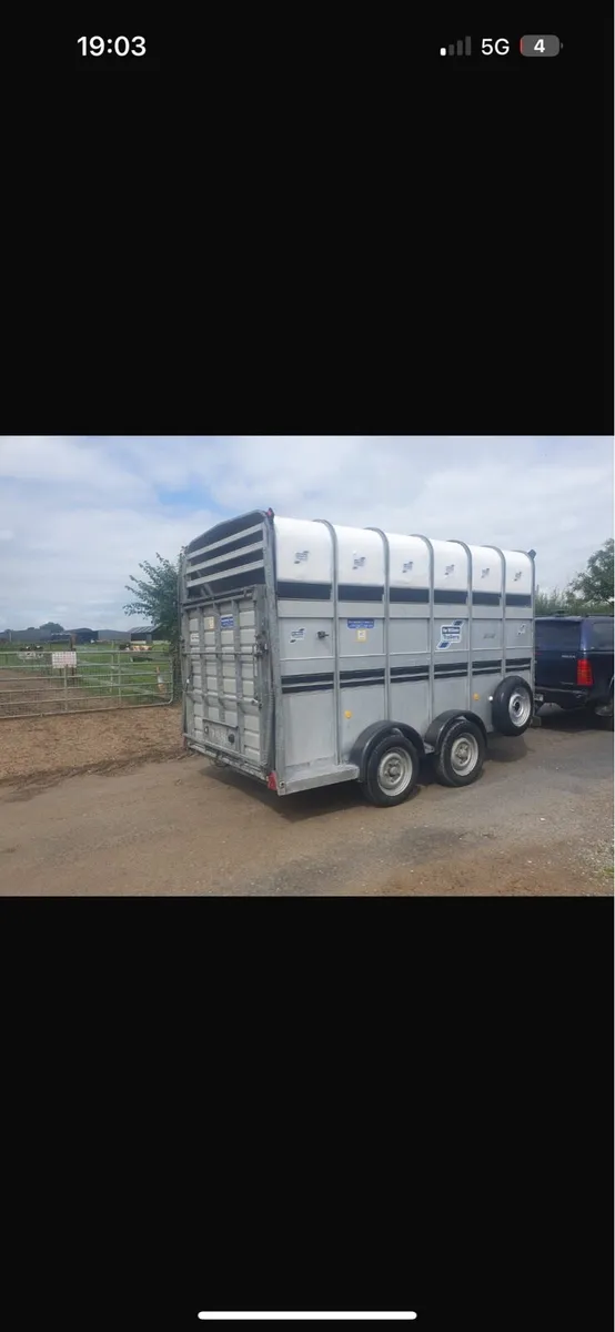 Iforwilliams cattle trailer - Image 2
