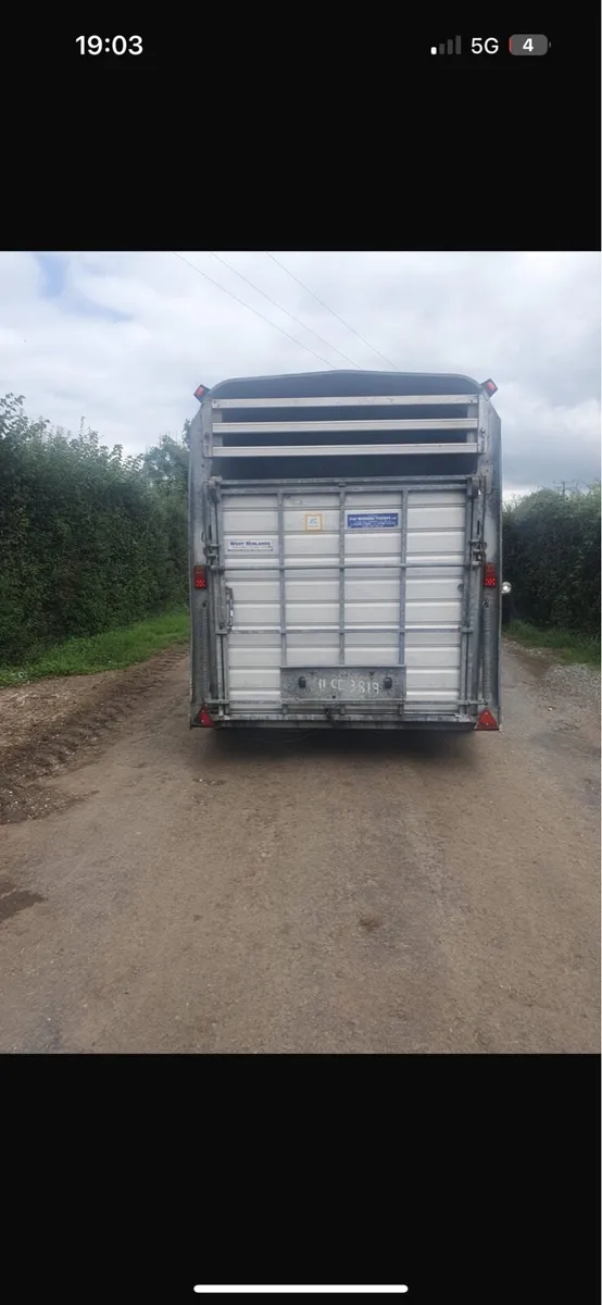 Iforwilliams cattle trailer - Image 3