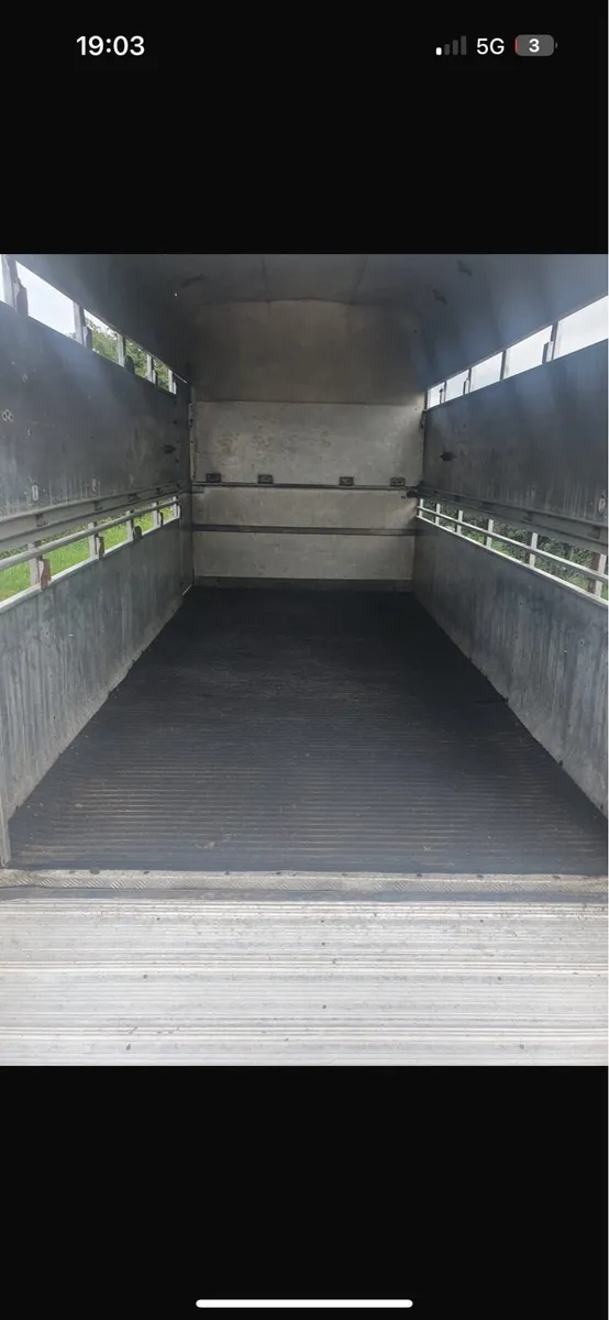 Iforwilliams cattle trailer - Image 4