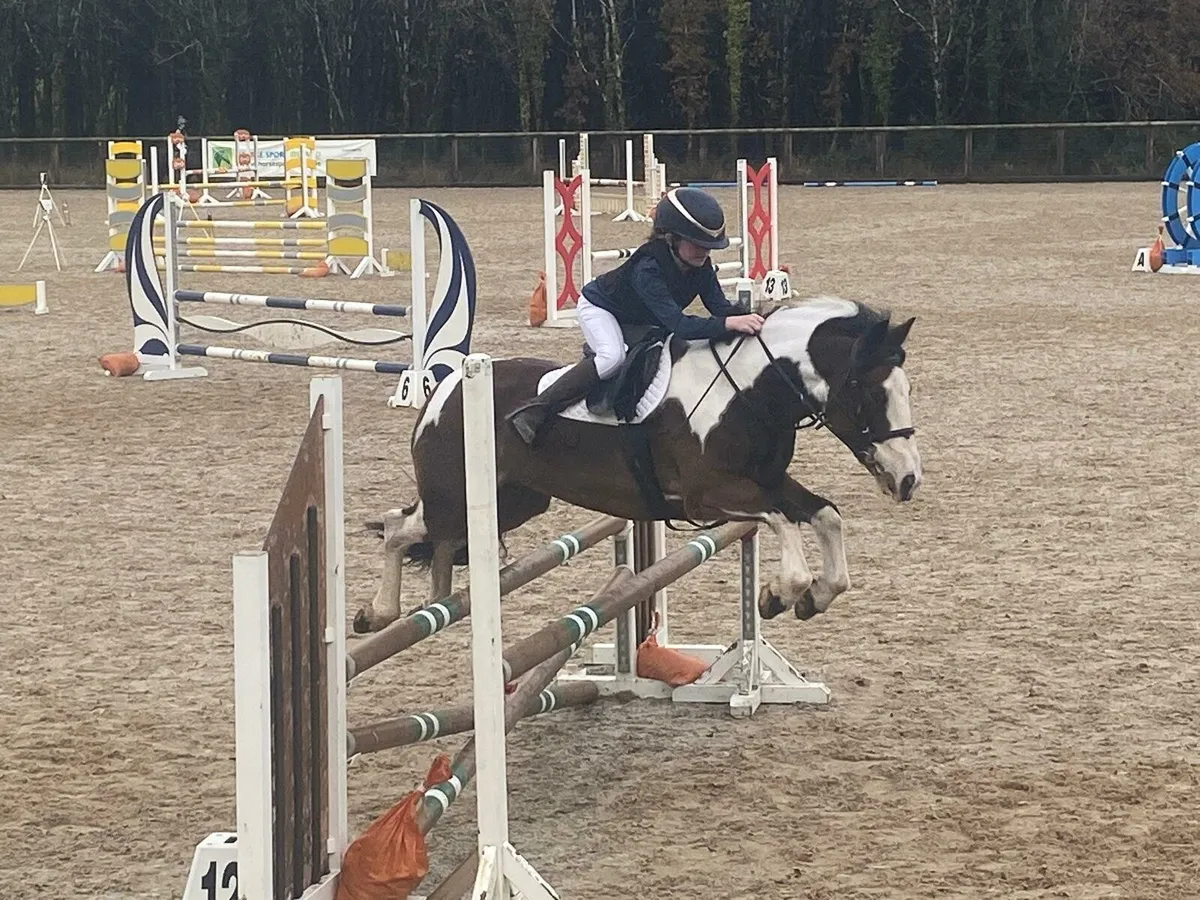13.2 15yr old Skewbald Mare - Image 3