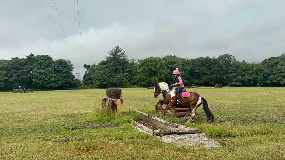 13.2 15yr old Skewbald Mare - Image 4