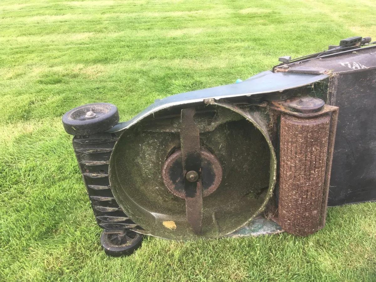 Lawnmower - Image 3