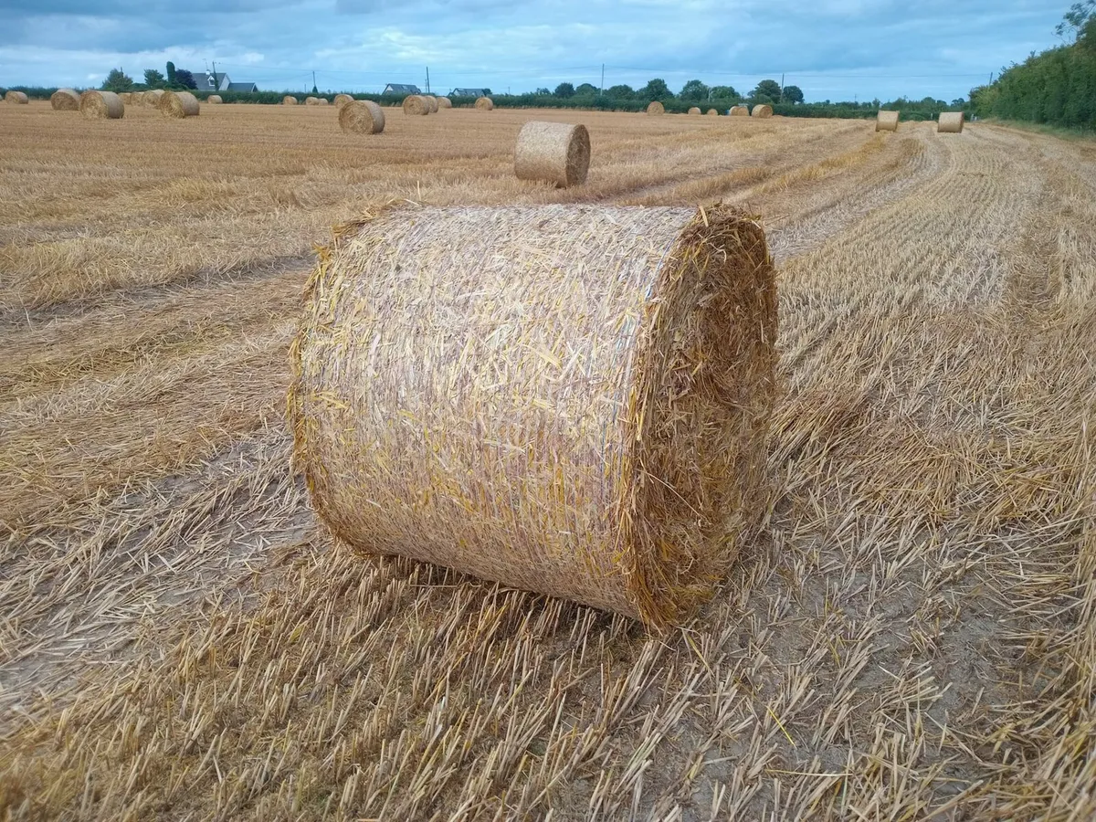 Straw