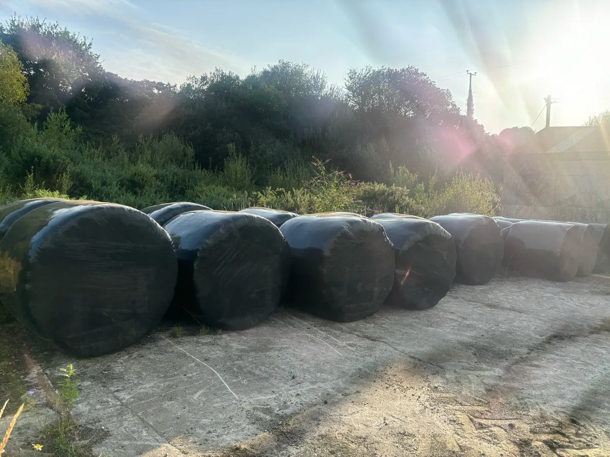 Organic hay bales - Image 1