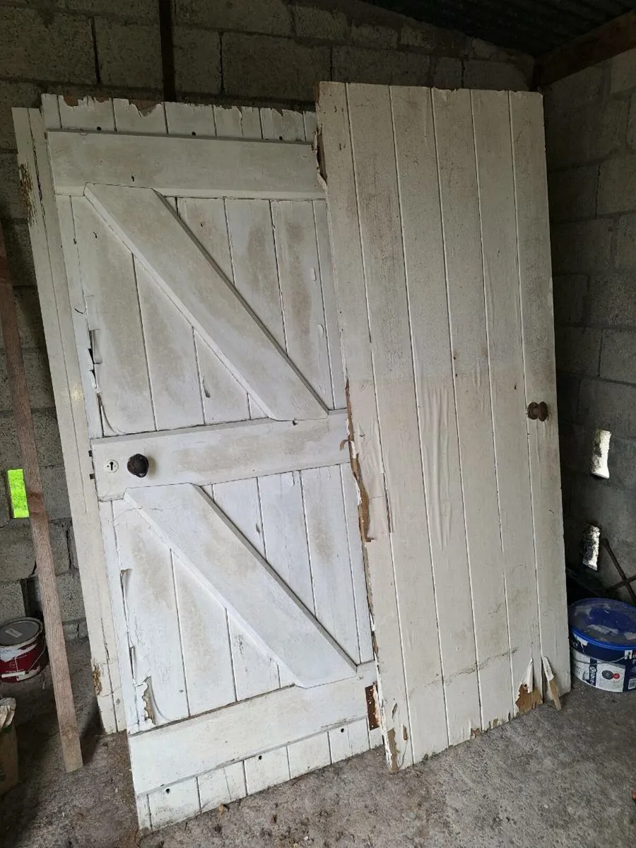 Old style doors - Image 1