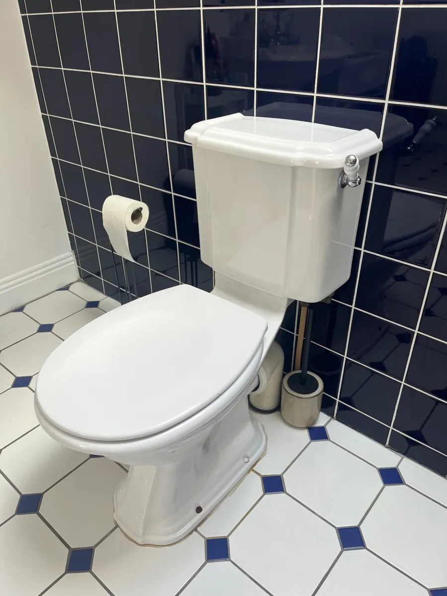Traditional Style Toilet - Image 1