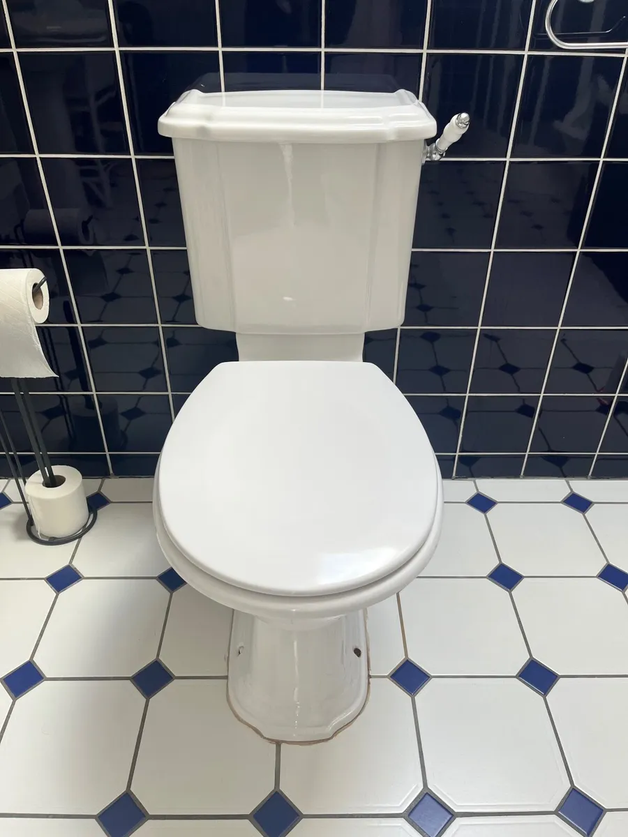 Traditional Style Toilet - Image 2
