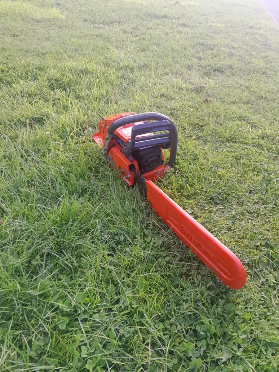 Husqvarna 365 special - Image 2