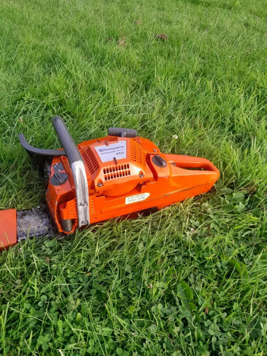 Husqvarna 365 special - Image 4
